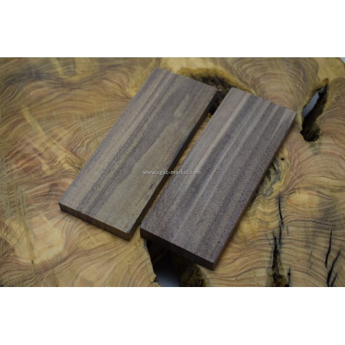 Ceviz Ağacı Amerika