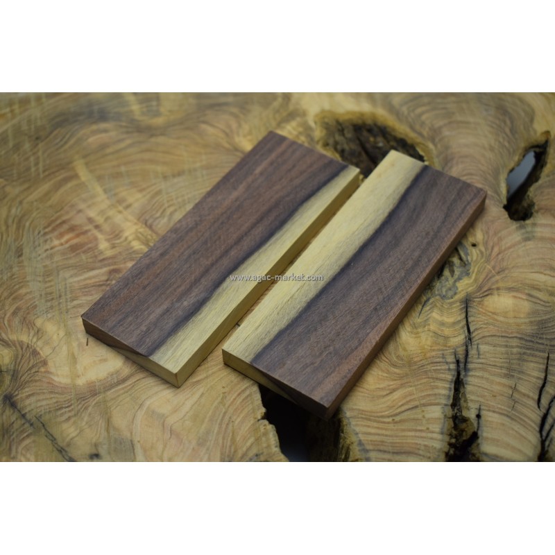 Santos Ağacı İki Renk 01