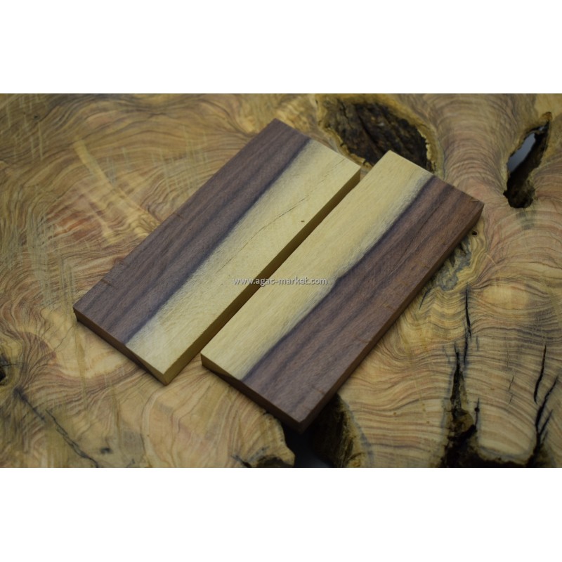 Santos Ağacı İki Renk 02