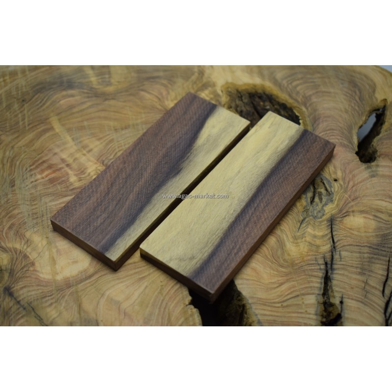 Santos Ağacı İki Renk 04