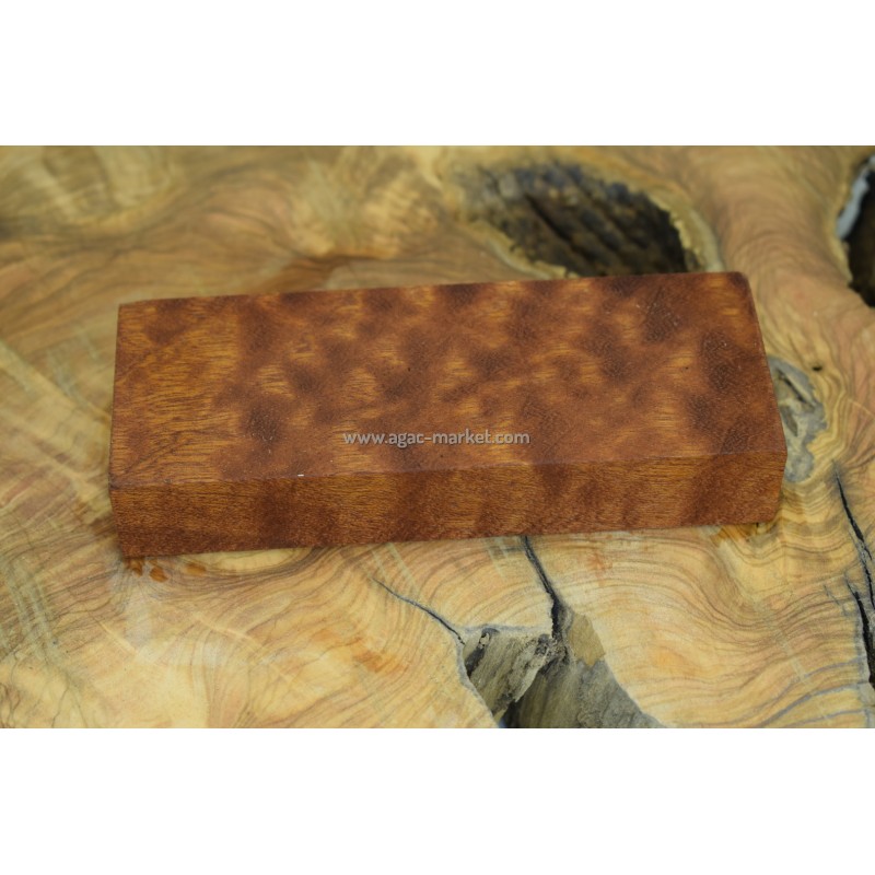 Sapelli Pamela Ağacı (Afrika Maun) 2