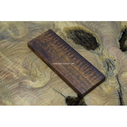 Yılan Ağacı (1adet)