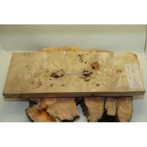 Kavak Ağacı Mazel Kabza veya Hobi için Model5