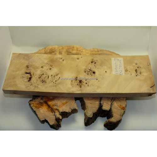 Kavak Ağacı Mazel Kabza veya Hobi için Model6