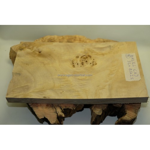 Kavak Ağacı Mazel Kabza veya Hobi için Model7