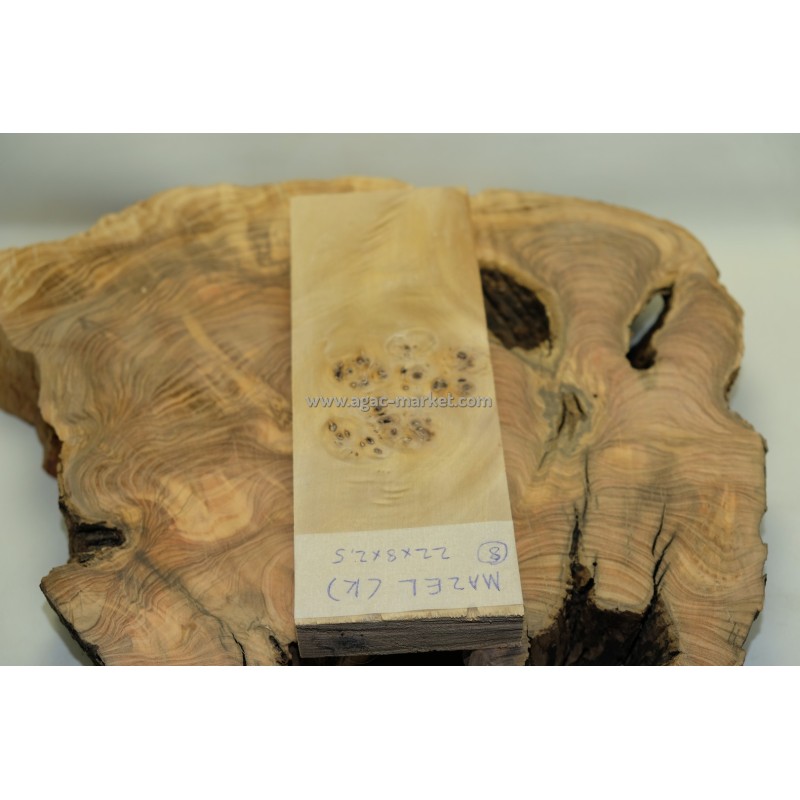 Kavak Ağacı Mazel Kabza veya Hobi için Model8