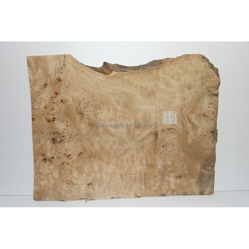 Kavak Ağacı Mazel Sehpalık Model1