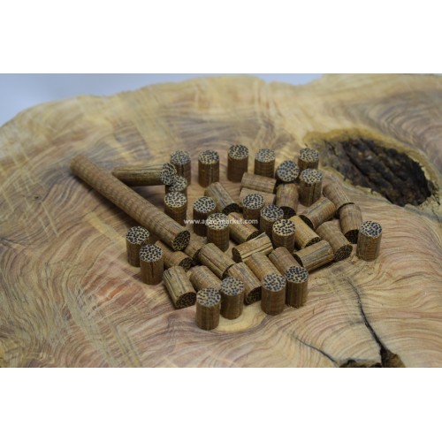 Vahşi Palmiye Ağacı-Kızıl Tesbihlik Yuvarlanmış Hazır Paket